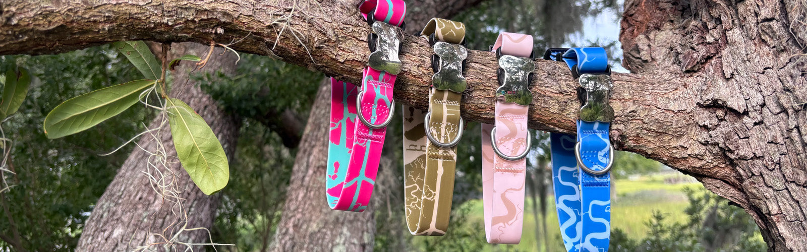 Four waterproof dog collars in pink, tan, light pink, and blue hanging from a tree branch outdoors.