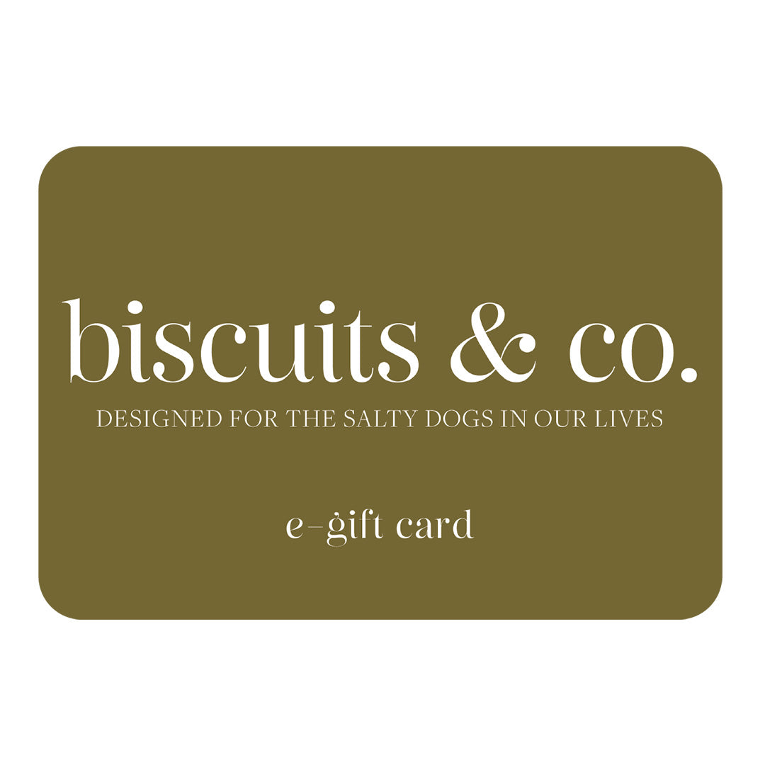 Give the Gift of Adventure